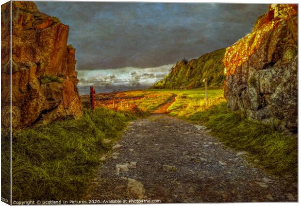 Coastal Path From Portencross To Hunterston Canvas Print by Tylie Duff Photo Art