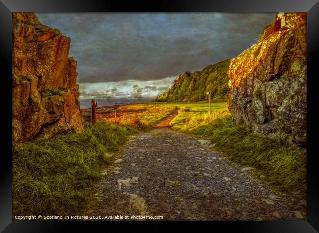 Coastal Path From Portencross To Hunterston Framed Print by Tylie Duff Photo Art