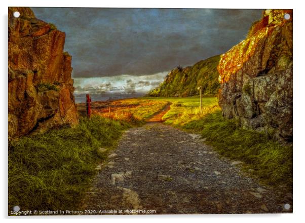 Coastal Path From Portencross To Hunterston Acrylic by Tylie Duff Photo Art