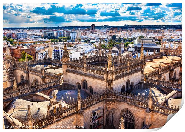 City View Tower from Giralda Tower Seville Cathedral Spain Print by William Perry