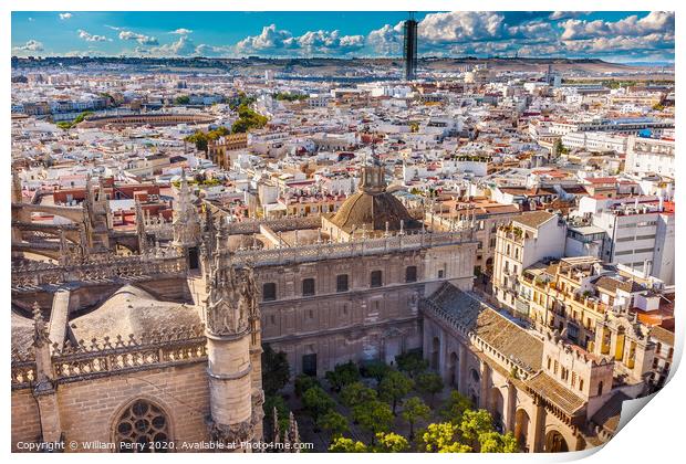 City View from Giralda Tower Seville Cathedral Garden Bull Ring Seville Spain Print by William Perry