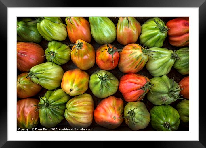 Colorful Juicy Ripe Heirloom Tomatoes Framed Mounted Print by Frank Bach