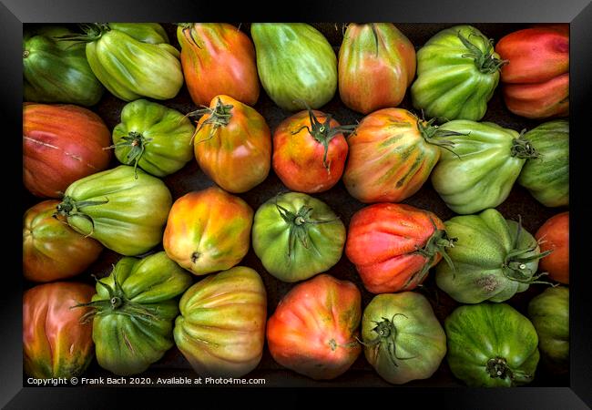 Colorful Juicy Ripe Heirloom Tomatoes Framed Print by Frank Bach