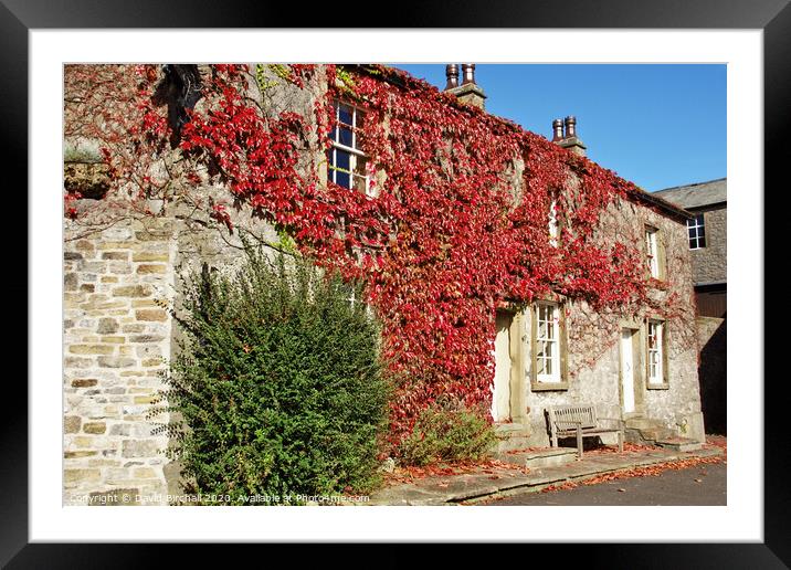 Autumn colour in Downham village, Lancashire. Framed Mounted Print by David Birchall