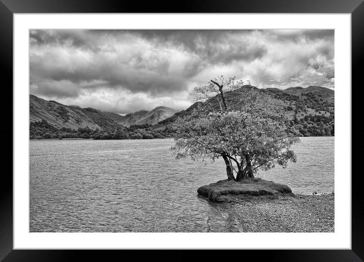 Lone Tree at Ullswater Framed Mounted Print by Roger Green
