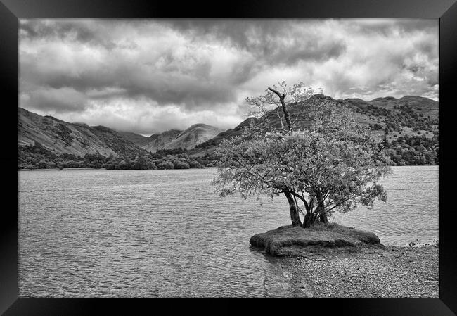 Lone Tree at Ullswater Framed Print by Roger Green