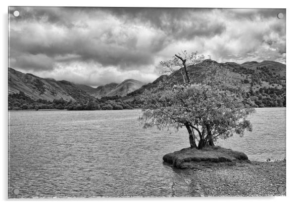 Lone Tree at Ullswater Acrylic by Roger Green