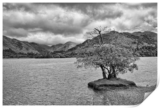Lone Tree at Ullswater Print by Roger Green