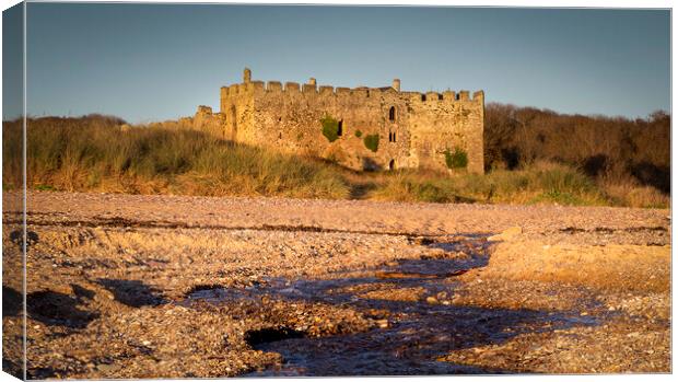 Manorbier castle in West Wales Canvas Print by Leighton Collins