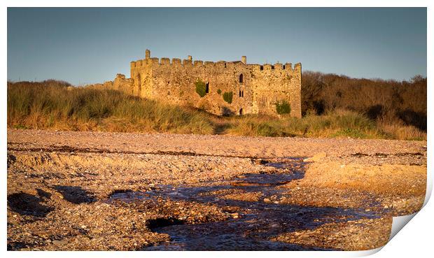 Manorbier castle in West Wales Print by Leighton Collins