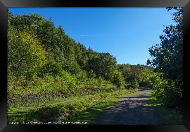 Parc Penallta Walk  Framed Print by Jane Metters