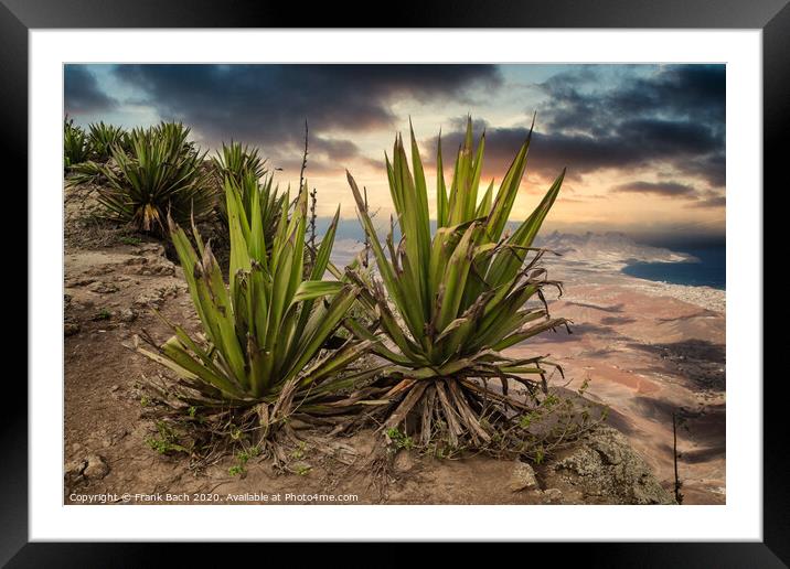 Panorama over Isla Sao Vicente on Cape Verde islands Framed Mounted Print by Frank Bach