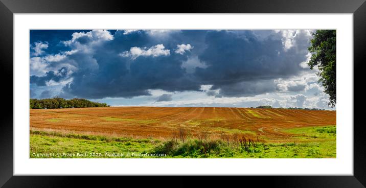 Golden fields at the border between Denmark and Germany near Krusaa, Gendarmstien Framed Mounted Print by Frank Bach