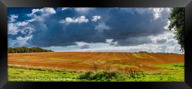 Golden fields at the border between Denmark and Germany near Krusaa, Gendarmstien Framed Print by Frank Bach