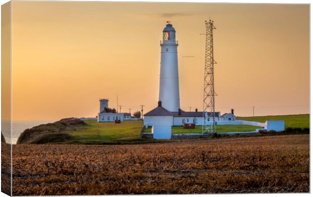 Nash Point lighthouse Canvas Print by Leighton Collins