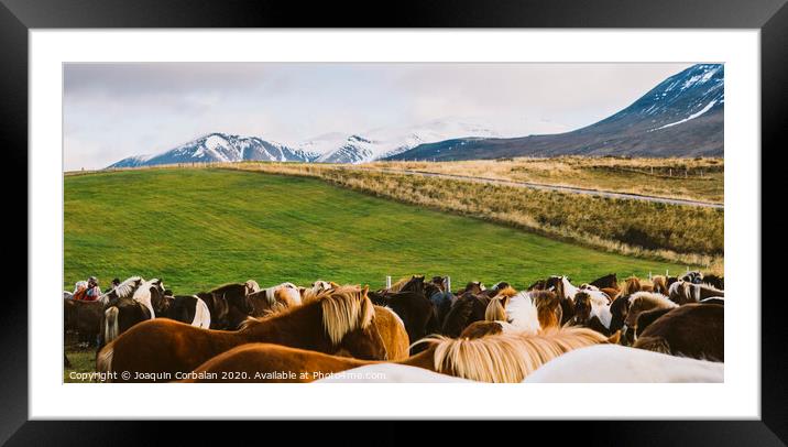 Landscape of green and leafy pastures in the mountainous valleys of Iceland. Framed Mounted Print by Joaquin Corbalan
