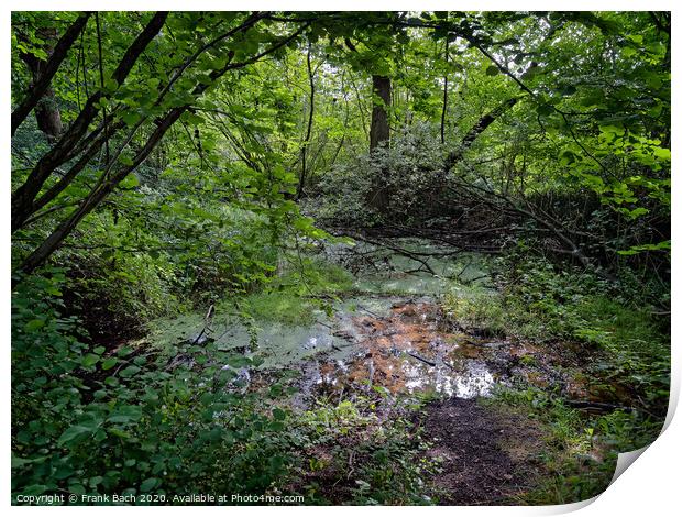 Natural source spring well in Padborg forest at Gendarmstien, Denmark Print by Frank Bach
