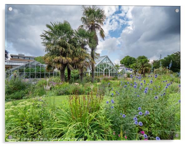 Cambridge botanic garden greenhouses, England Acrylic by Frank Bach