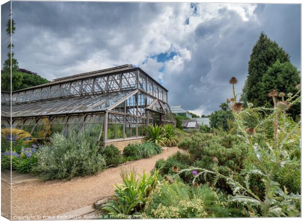 Cambridge botanic garden greenhouses, England Canvas Print by Frank Bach