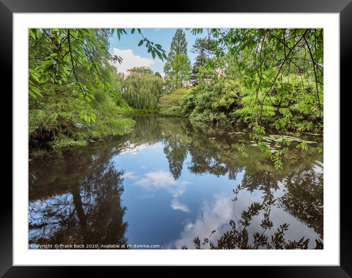 Cambridge botanic garden pond with waterlilies, England Framed Mounted Print by Frank Bach