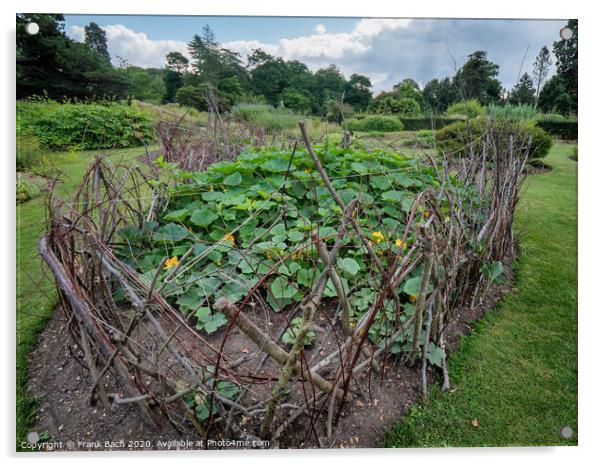 Walled cucumber flower bed in Cambridge botanic garden, England Acrylic by Frank Bach
