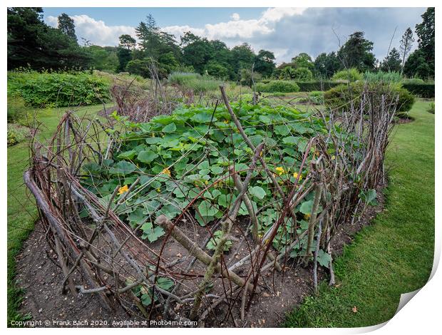 Walled cucumber flower bed in Cambridge botanic garden, England Print by Frank Bach
