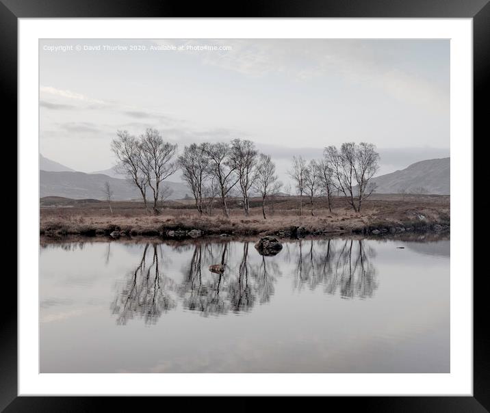 Bare Birch trees reflecting in the cold waters of Loch Ba on Rannoch Moor Framed Mounted Print by David Thurlow