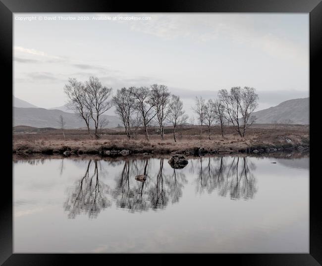 Bare Birch trees reflecting in the cold waters of Loch Ba on Rannoch Moor Framed Print by David Thurlow