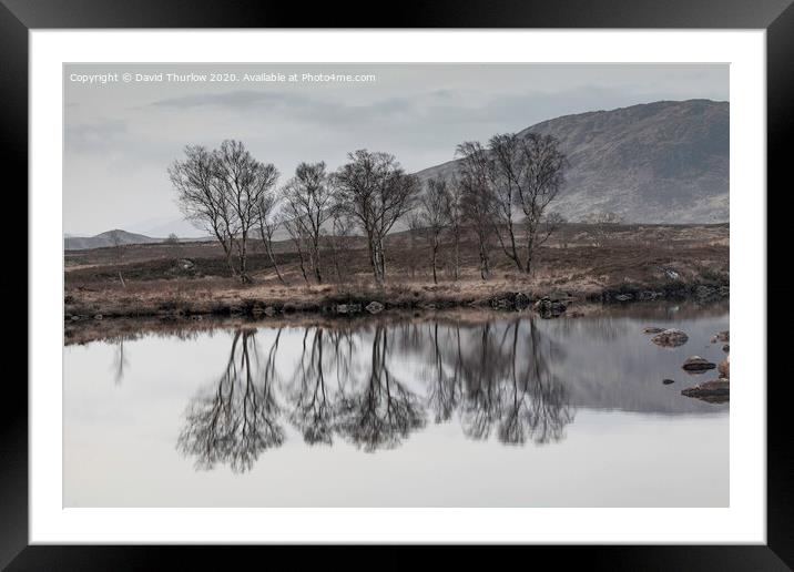 Bare Birch trees reflecting in the cold waters of Loch Ba on Rannoch Moor Framed Mounted Print by David Thurlow