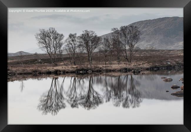 Bare Birch trees reflecting in the cold waters of Loch Ba on Rannoch Moor Framed Print by David Thurlow