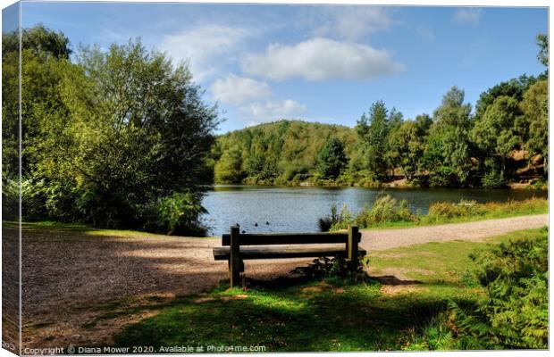 Cannock Chase Staffordshire Canvas Print by Diana Mower