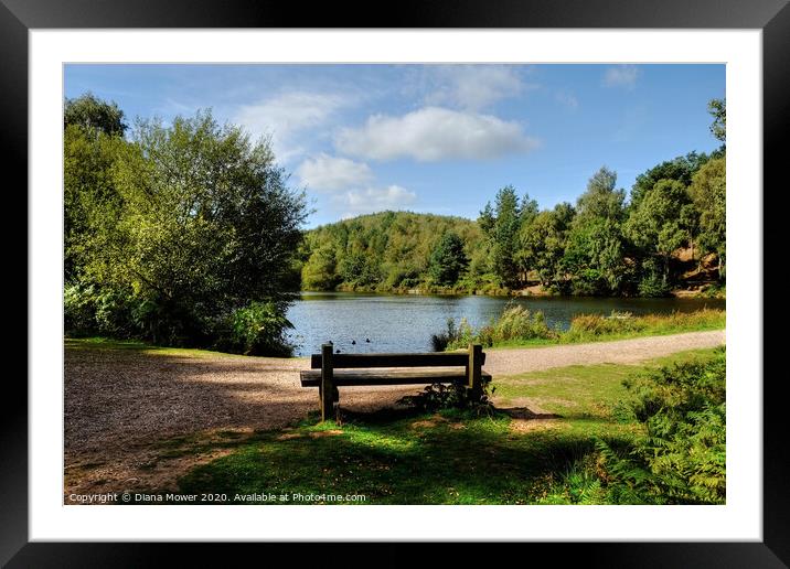 Cannock Chase Staffordshire Framed Mounted Print by Diana Mower