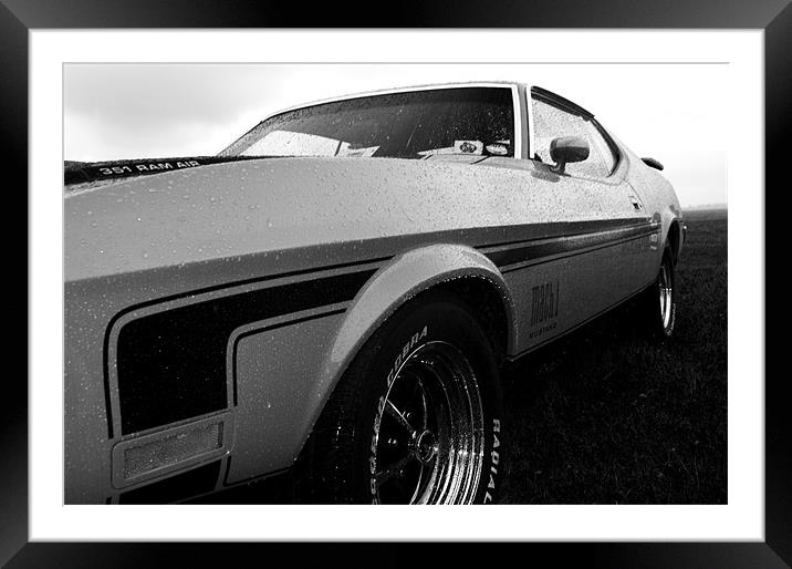 A contrast of speed Framed Mounted Print by Chris Day