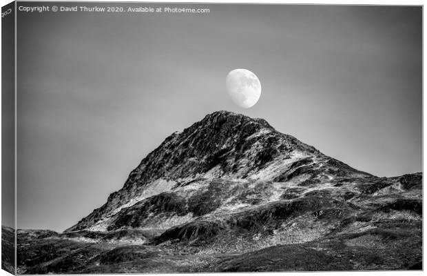 Snowdonia Moonrise Canvas Print by David Thurlow
