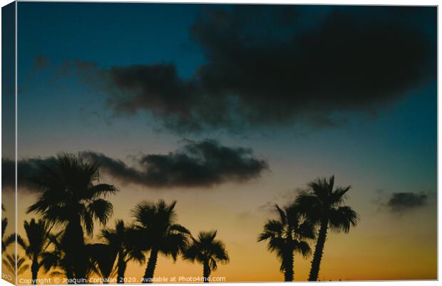 Silhouettes of tropical palm trees in a warm sunset. Canvas Print by Joaquin Corbalan
