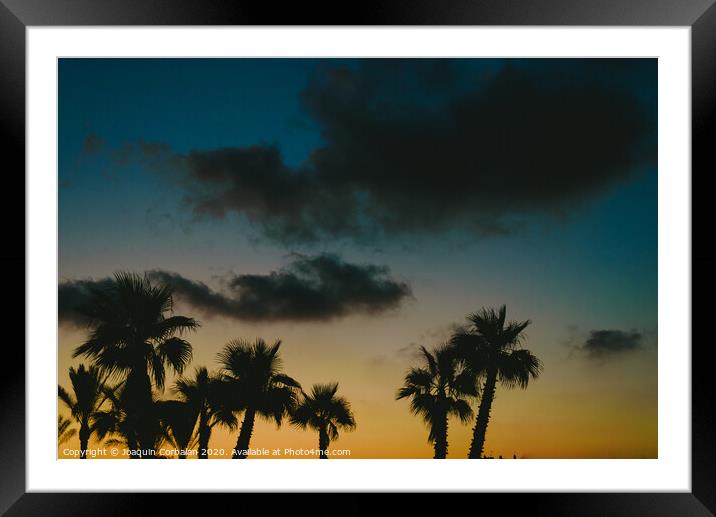 Silhouettes of tropical palm trees in a warm sunset. Framed Mounted Print by Joaquin Corbalan