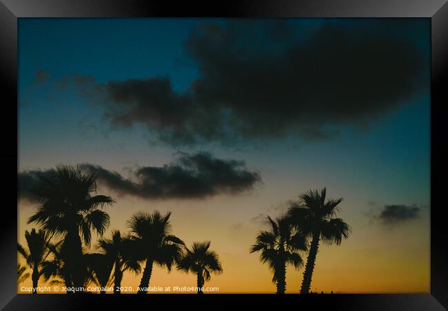 Silhouettes of tropical palm trees in a warm sunset. Framed Print by Joaquin Corbalan