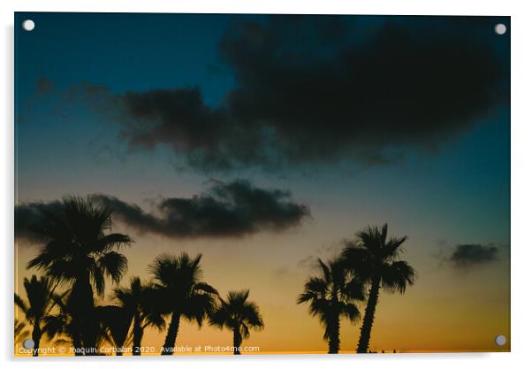 Silhouettes of tropical palm trees in a warm sunset. Acrylic by Joaquin Corbalan