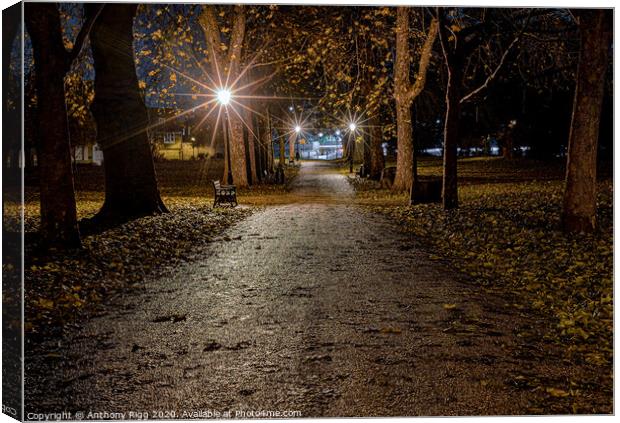 After Dark in the Park Canvas Print by Anthony Rigg