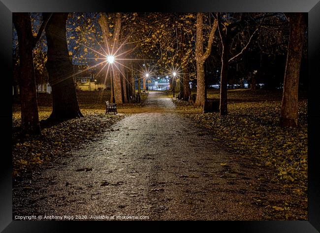 After Dark in the Park Framed Print by Anthony Rigg