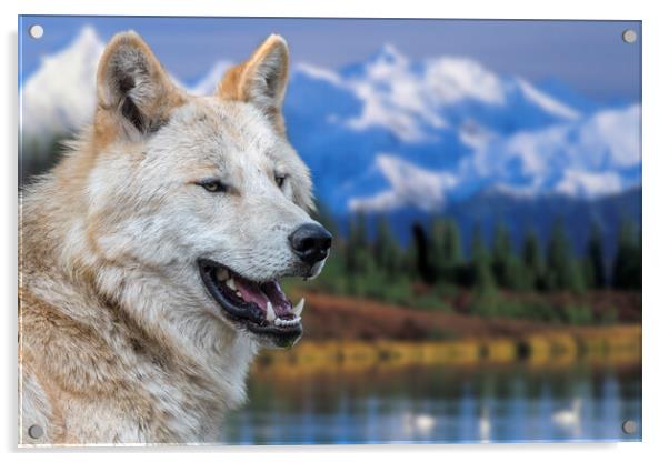 Mackenzie Valley Wolf Acrylic by Arterra 