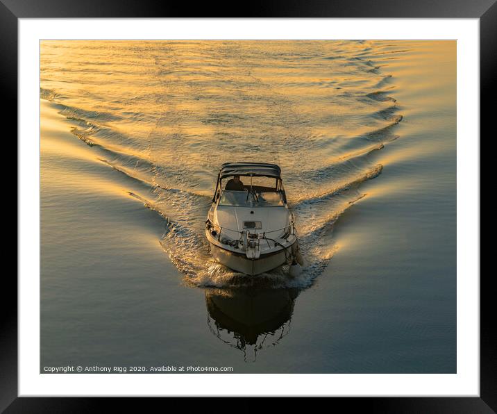 River Boat at Sunset Framed Mounted Print by Anthony Rigg