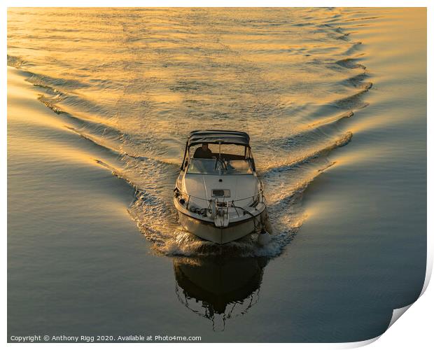 River Boat at Sunset Print by Anthony Rigg