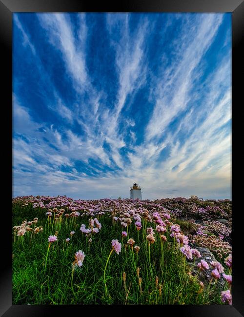 Summer Night Framed Print by Gary Buchan