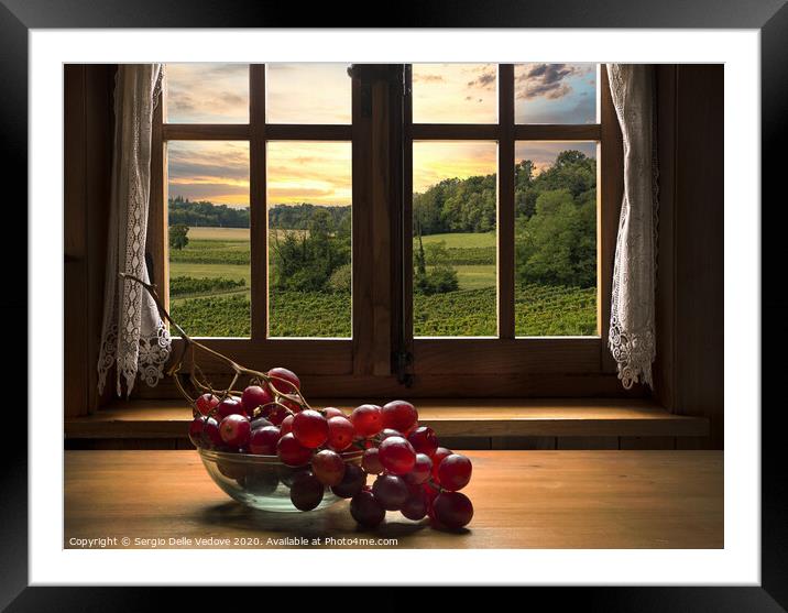 a bunch of pink grapes Framed Mounted Print by Sergio Delle Vedove