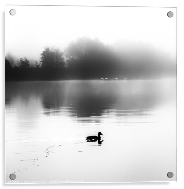 Misty morning Acrylic by Jaxx Lawson