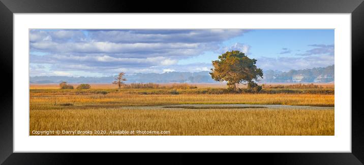 Lone Tree in Golden Light on Marsh Framed Mounted Print by Darryl Brooks