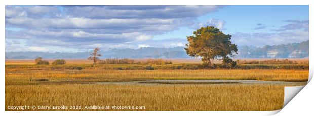 Lone Tree in Golden Light on Marsh Print by Darryl Brooks