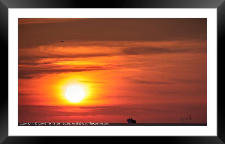 Sailing into the Sunset  Framed Mounted Print by David Tomlinson