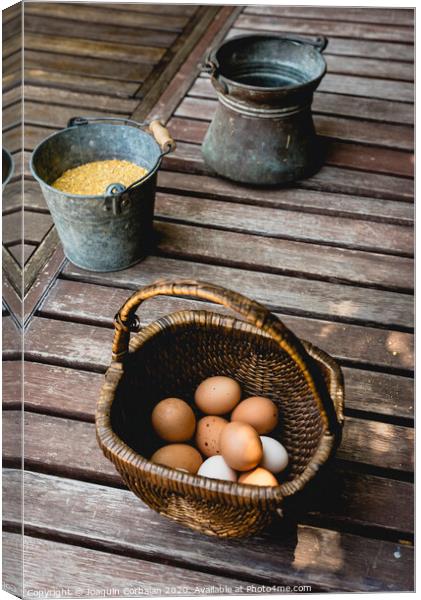 Eggs in wicker basket with corn as food for hens. Canvas Print by Joaquin Corbalan